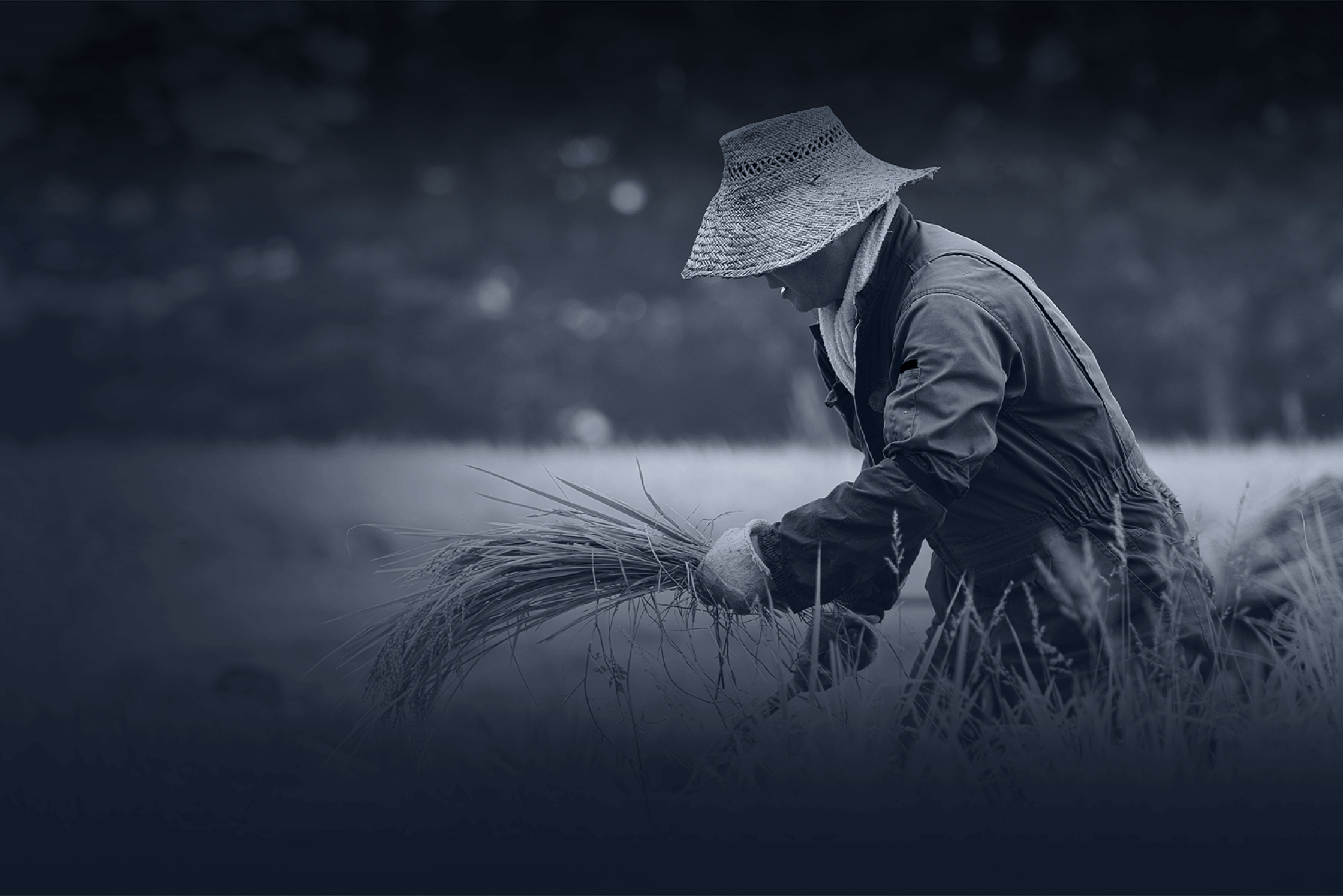 Decent Work And Economic Growth